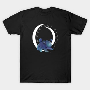 A Perfect Circle Baby Octopus T-Shirt